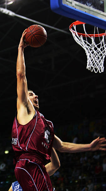 展现出极高 展现出极高